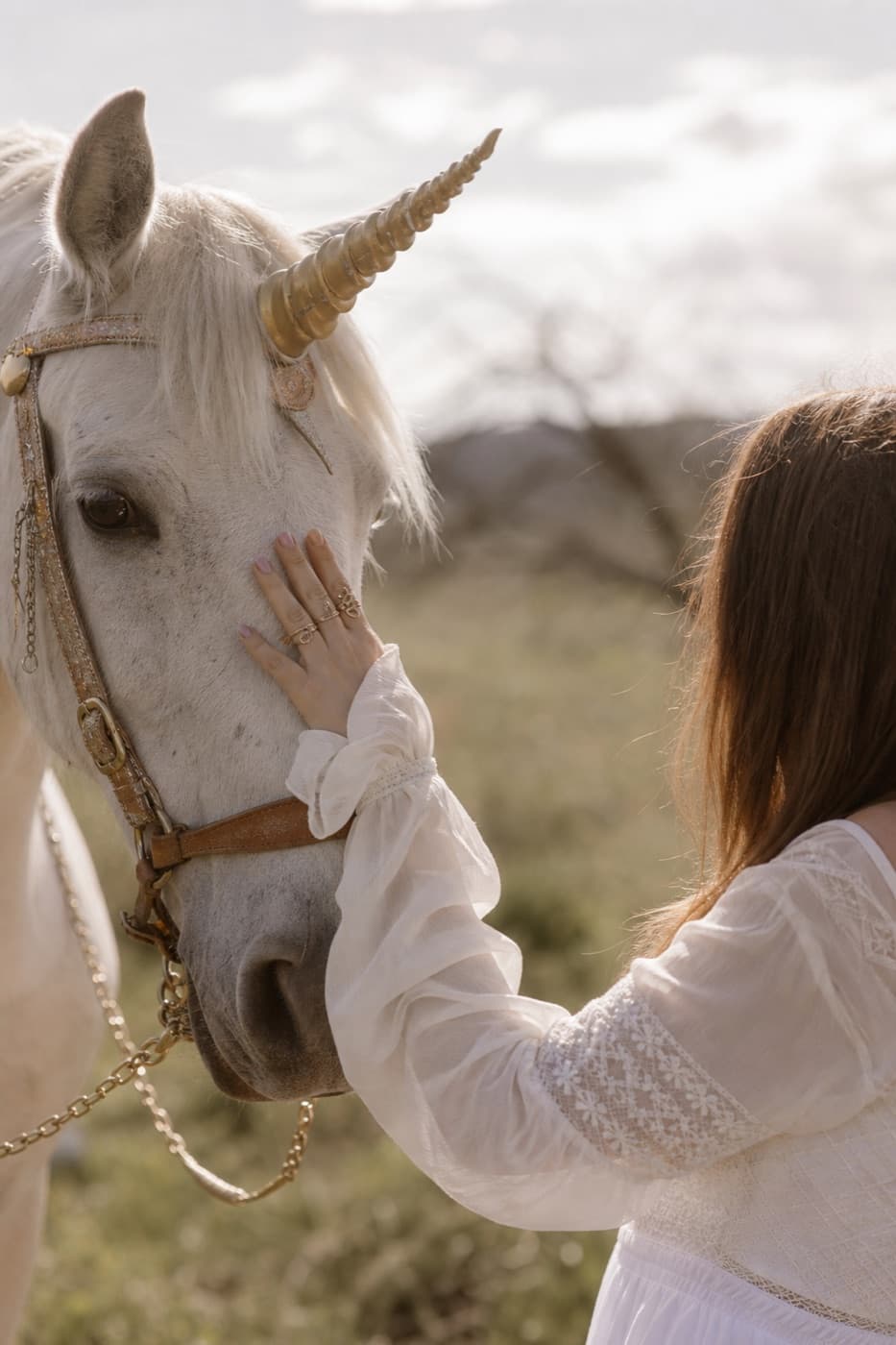 A hand gently touching a unicorn, a moment of trust