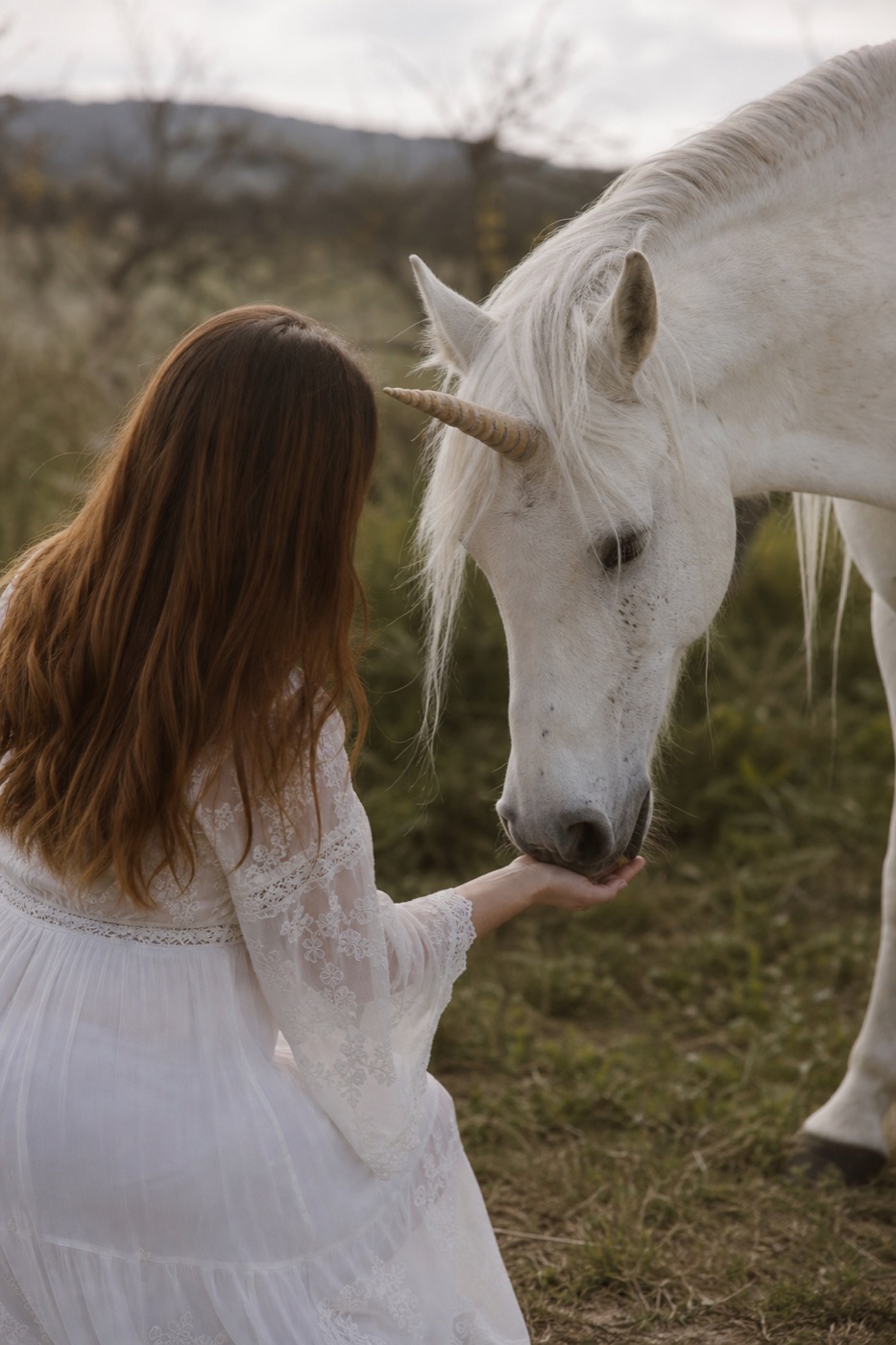 Your Unicorn Way